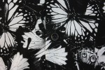 Baïsap - Chemise Papillons - Motif papillons noirs et blancs - #1856