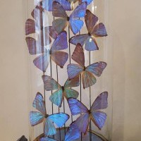 Baïsap - BAÏSAP @ Made Galerie