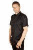 Baïsap - Chemise noire manche courte - Serpent - Chemisette en popeline de coton - #3518