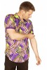Baïsap - Camisa Cebras manga corta - Camisa estampada animales - #3605