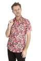 Baïsap - Pink floral shirt short sleeve - Pansies 