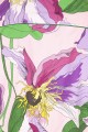 Baïsap - Pink flowery shirt - Colchicum 
