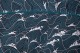 Baïsap - Chemise vagues - Hokusai