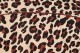 Baïsap - Leopard Hemd Herren kurzarm 
