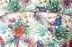 Baïsap -  Camisa Aves manga corta