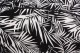 Baïsap - Black and White Palm Tree shirt 