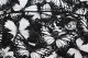 Baïsap - Butterfly shirts for men 
